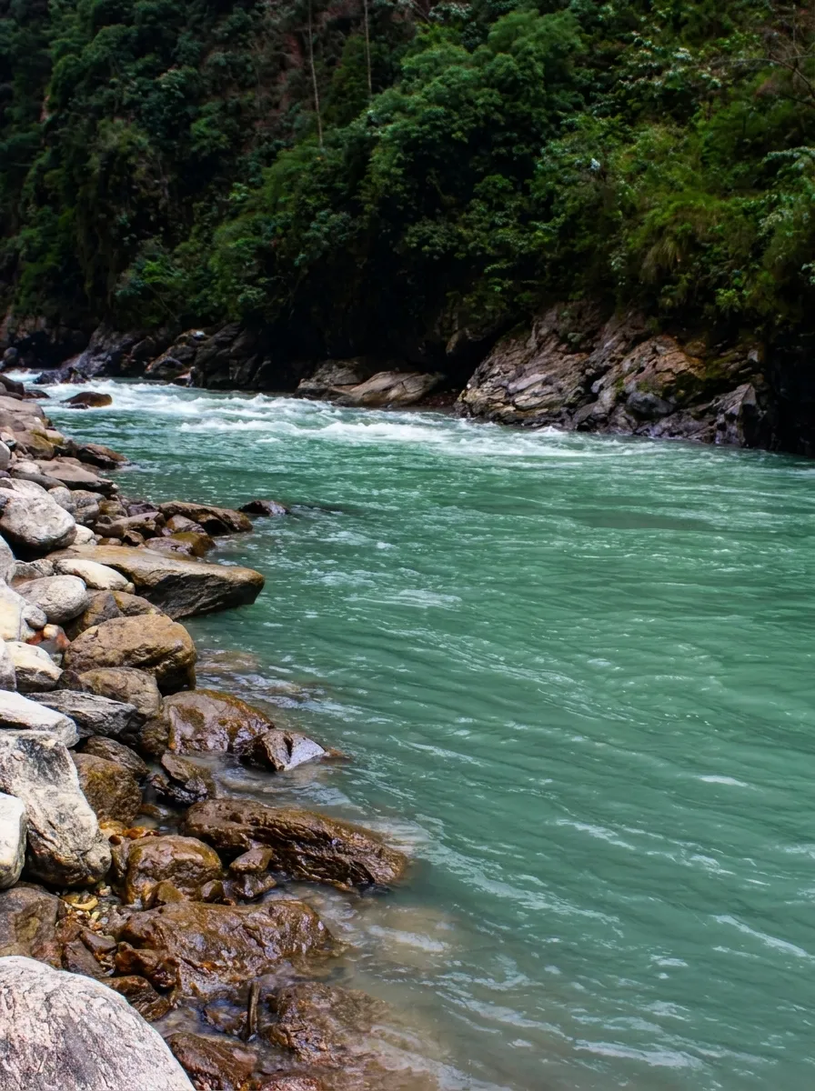 Kosi River Belt